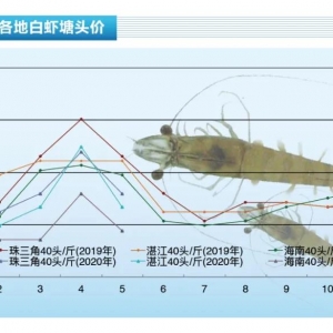 ���r�������Ј��_�ۣ��A���r�rѸ���µ�������ˮ�aǰ�ء�2020��6�¿��Ј�څ��