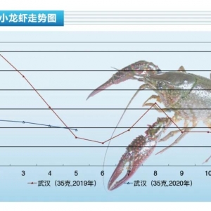 С���r���r����ʎ���У����r����������ͦ������ˮ�aǰ�ء�2020��6�¿��Ј�څ��