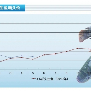 ���~���Ј�������ԣ����a(ch��n)�^(q��)���������p�١�����ˮ�a(ch��n)ǰ�ء�2020��6�¿��Ј�څ��