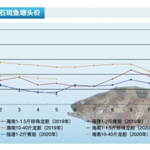 ʯ���~���K�����r��S�ֵ͹ȡ�����ˮ�aǰ�ء�2020��6�¿��Ј�څ��