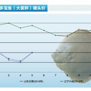 �����~6�����f�����Ŀ��ԣ�​