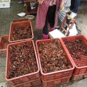 С���r�a�I����B�m���r��