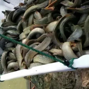 ���q3Ԫ��/��������У��Bֳ����һ���~̝һ����