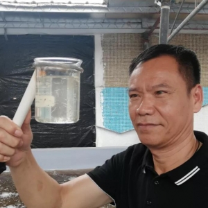 �o�������硱���o���磡������߮��a(ch��n)2000�