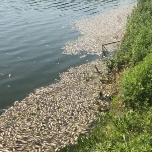 2020�꣬�S��~�r���˟����˼����