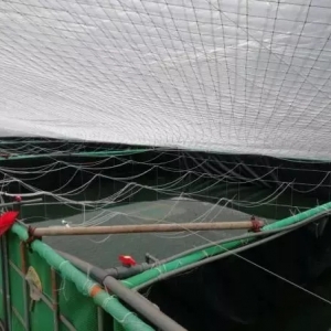 �������B(y��ng)ֳ�ڸ��������^���F(xi��n)���������ˣ�