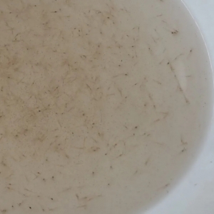 �����y�󣬱����B�r�I���Rһ����