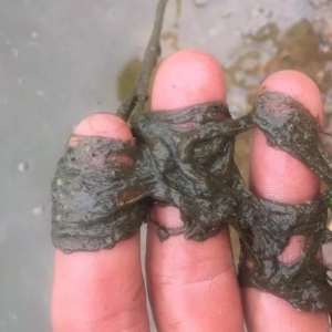 ��ش���+��40��ߜأ�������������~�L�U�ӄ���