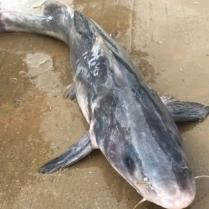 2020��6��22�ո��ؽ��F�������^��r