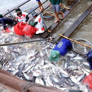 ��һ�l�������~�����Ƴɱ��r�����кܓ��n��