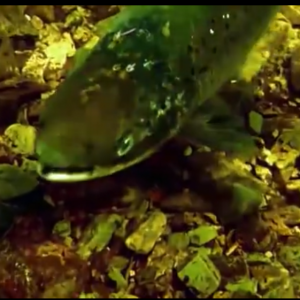 ��ο��^�ؿ����M���Bֳ�����~��