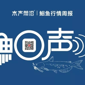 �t�~��ߝq1Ԫ/��������g�~�r��ס��