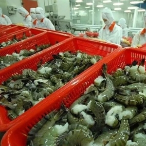 ���У��V�|�Ј����ˑ�ŭ�����r��Խ�ϡ�ӡ�ȃ��r�Ј��s���f��ů��Ϣ|�rӍ