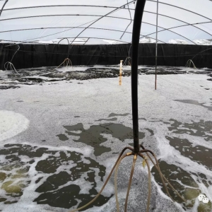 ���ɹŰ����B(y��ng)�r������4����3.6����ٍ80�f��