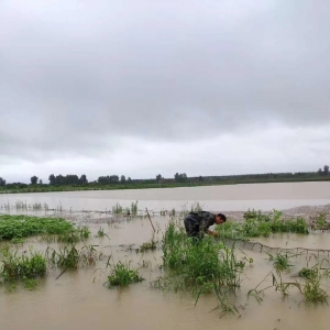 Σ��������ϴ�٣���800�f������̎Σ�U(xi��n)��