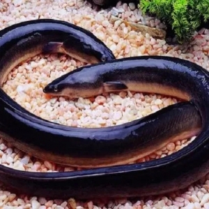 �永�������_70���fβ�����S���F20����4����˽�W�����~�类����