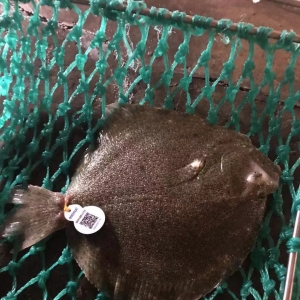 �~�Є�ʎ�������~���q���ֵ�����(bi��o)�~19Ԫ/��