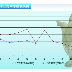 ���~�����M��ή�s�������Ѓr�o�С�����ˮ�aǰ�ء�2020��7�¿��Ј�څ��