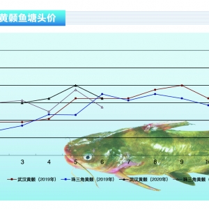 �S��~�����M�Ј����@ƣ�B���~�r���䡪����ˮ�aǰ�ء�2020��7�¿��Ј�څ��