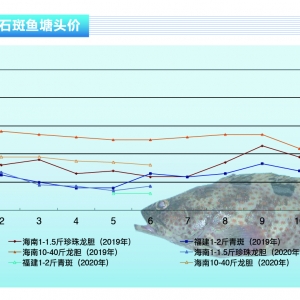 ʯ���~���a�I����ͣ�����Ј��N�����J�p������ˮ�aǰ�ء�2020��7�¿��Ј�څ��