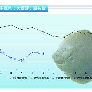 �����~���Ј��������ޣ����鷀���н�������ˮ�aǰ�ء�2020��7�¿��Ј�څ��