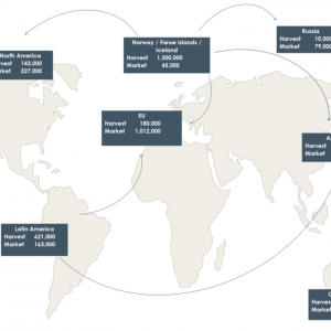 ȫ�����������~���a(ch��n)�������l(f��)��2020ȫ�������~�ИI(y��)�փ�(c��)