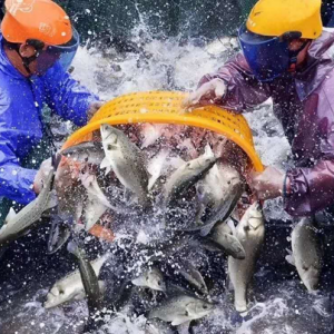 �f�~�����p�٣����|�~�r����ϝq