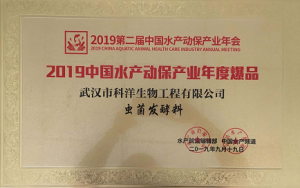 ��h����Ӳ�˝Oˎ�������O�ʡ���(chu��ng)�O��