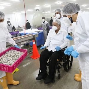 �ش��D�C�����r������������M���Q��