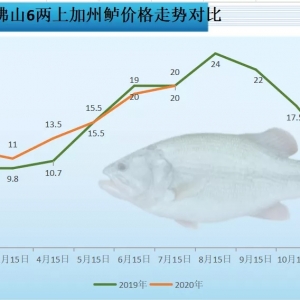 ��؝q��20Ԫ/������|ȫ���ϝq������ٝq1.5Ԫ/�| �ܴ�����ؼs