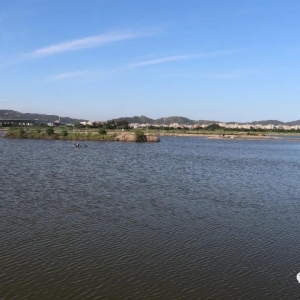 �r�r�����£�����Ҫ��ʲôٍ�X��