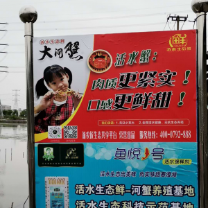 Ʒ�|(zh��)��Ҏ(gu��)�񡢮a(ch��n)�����ǿ����ģ�99%��з�r(n��ng)͵͵�����@�����g(sh��)����Ц��