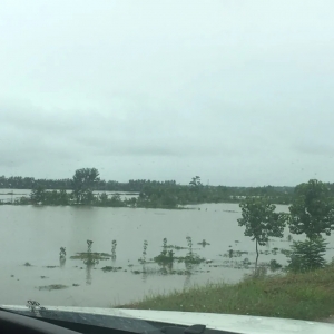 ��ı����؄�(chu��ng)���ڵ�ˮ�~�B(y��ng)ֳ��δ���~�rҪ����ϝq