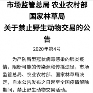 ˮ�a�ˣ����K�ˣ�һҹˮ�Ļص����ǰ��