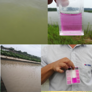 ��ʲô������~�����������Α�(y��ng)����