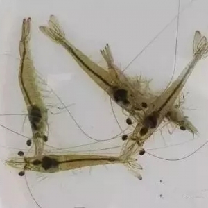 �ֵ����缾����֪������x���r���?