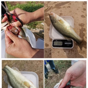 �ߜ�Ӳ�ǌ��������������S�����S�a