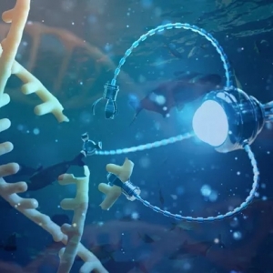 �{�׼��g(sh��)�����ɳ��m(x��)ˮ�a(ch��n)�B(y��ng)ֳ���·���