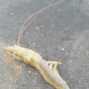 �°��꣬���澳��ץס�C����������K�A�ң�