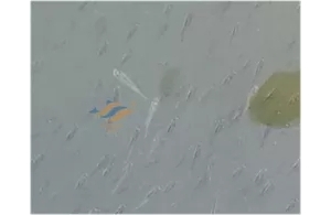 �ߜ������������~�����|��η��β�����