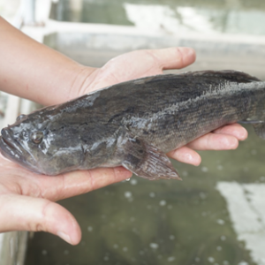 �S���~ȫ���h�t�����ڿ��g߀�ж��