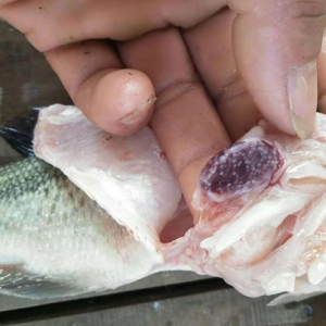 �����|���^�r�ߝq����횾����Z����