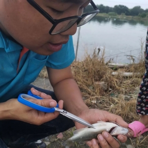 �����|�Bֳ����Ϻͼ������ζ����ݺ�ҕ