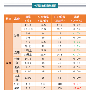 �t��һ����ߝq12Ԫ/���������顢��đ��Ȼ����