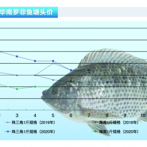 �_���~���ߜ��Bֳ�L�U��6���~���۷e�O������ˮ�aǰ�ء�2020��8�¿��Ј�څ��