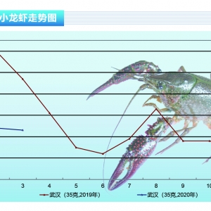 С���r��С���r�������У��r�r�٬F�����ˮ������ˮ�aǰ�ء�2020��4�¿��Ј�څ��