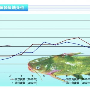 �S��~�����m�����ձ鿴�ã����ע�ⲡ���A��������ˮ�aǰ�ء�2020��4�¿��Ј�څ��