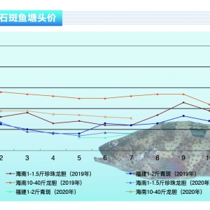 ʯ���~���ȵ���ʎ�����m�^�L�r�g������ˮ�aǰ�ء�2020��8�¿��Ј�څ��