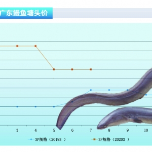 ���~���ձ��_�������r���ϝq�������؅^���ַ���������ˮ�aǰ�ء�2020��8�¿��Ј�څ��