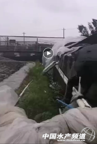 16���_�L�؄�֮�£�ˮ�a�Bֳ�����܂�